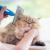 Cat Grooming Dubai - Kittys Zone