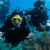 scuba divers underwater with coral life