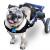 A Dog Wheelchair- When Your Best Friend Needs A Best Friend