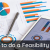 When to do feasibility study