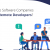 Why Do Software Companies Hire Remote Developers?