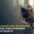Why Hyperledger Indy Blockchain Platform for your Enterprise Blockchain Projects