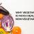 veg restaurants in jayanagar