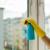 Reasons Why You’ll Love Window Cleaning in Richmond Hill