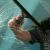 Window Cleaning Scottsdale | Scottsdale Window Cleaners
