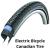 Electric Bicycle Canadian Tire