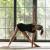 8 Major Types of Yoga: Which is the Best for You? - A-Lifestyle