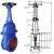 Double Disc Wedge Gate Valve Cast Iron - Z42