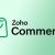 Zoho Commerce Developer: How to Hire the Best Developers