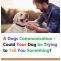 How to Understand Dogs Your dog may be telling you something through signals