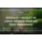 THE BENEFITS OF RESPONSIVE WEBSITE DESIGN | Pearltrees