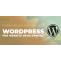 Reasons Why Everyone Love WordPress for Website Development 