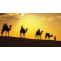 Luxury Desert Camp in Sam Sand Dunes | Luxury Desert Camp Tents in Jaisalmer