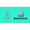 Selenium Training in Marathahalli , Best Selenium institute in Marathahalli Bangalore | Career LiftUp