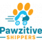 Cat Transport Service | Pawzitive Shippers 