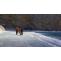 Tosh Himachal ­- The Last Hippie Village in Parvati valley - Share Postings