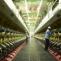 Company News: Company Business News, Indian Companies News, Company Analysis, Corporate Industry News