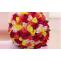 Send Flowers to Chandigarh | Flower Delivery in Chandigarh - MyFlowerTree