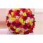 Send Flowers to Hyderabad @399 Only | Best Online Florist in Hyderabad | MyFlowerTree