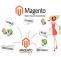 Hire The Best Magento Development Service