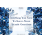 Everything You Need To Know About Kyanite Gemstone | 