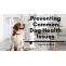 Preventing Common Dog Health Issues | Tips to Follow - Pet Care Blogs - petcareclub