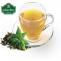 Green Tea and Diabetes Management