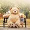 What Are The Best Ways To Clean Your 11-Foot Teddy Bear? - TheOmniBuzz