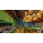 How we helped AnTeRa courtyard build in less than 3 Months