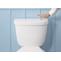 Useful Tips to Buying the Best Flushing Toilet 