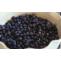 Buy Juniper Berries Online in Dried Form via UK Based Online Store