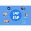 What Is SAP Used For? Top SAP Uses!