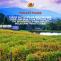 A Complete Guide For Couples to a Perfect Long Weekend in the Yarra Valley - Chauffeur Drive, Melbourne, Yarra Valley