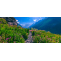 Valley of Flowers Trek Tour Package 2019 | Itinerary for Valley of Flowers National Park Uttarakhand India