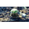 Daily Technology Blog - What is Green Technology?