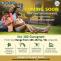 Why to Buy/ Invest in BPTP Amstoria plots Gurgaon? - Realty Times