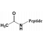 N-terminal Modification - Creative Peptides-Peptide Drug Discovery