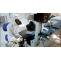 Best Advance Diploma In Medical Laboratory Technology Courses in Pune, Maharashtra    