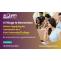 4 Things to Know Before Applying for Admission to a Kiwi University