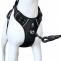 Buy Dog Harness Online At Best Prices | Upto 60% OFF | HANK