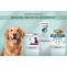 Nexgard, Bravecto, Seresto: Flea and Tick Treatment Guide