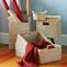Baskets for Fruits and Variety of Uses - Check Out Basket Designs - West Elm