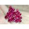 Ruby Gemstone | Manik Stone | Ruby Stone Benefits | Manikya Stone