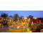 Desert safari With Bab Al Shams Dinner - Desert Safari and City Tours