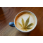               Here's why CBD Coffee Is Becoming a Natural Trend          