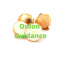 Why Onion Guidance Important For Daily Healthy Life