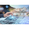 Address Verification Service