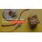 How to Convey Raksha Bandhan Wishes to Distant Brother
