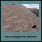 Flat Roof Repair  — Roof Hail Damage: How to Repair in Albion, IN