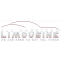 All American Limousine | Limo Service Chicago | Car Service | O&#039;Hare Airport | Midway Airport | Chicago Limo | Party Bus | Transportation Service | Book, Rent, Hire